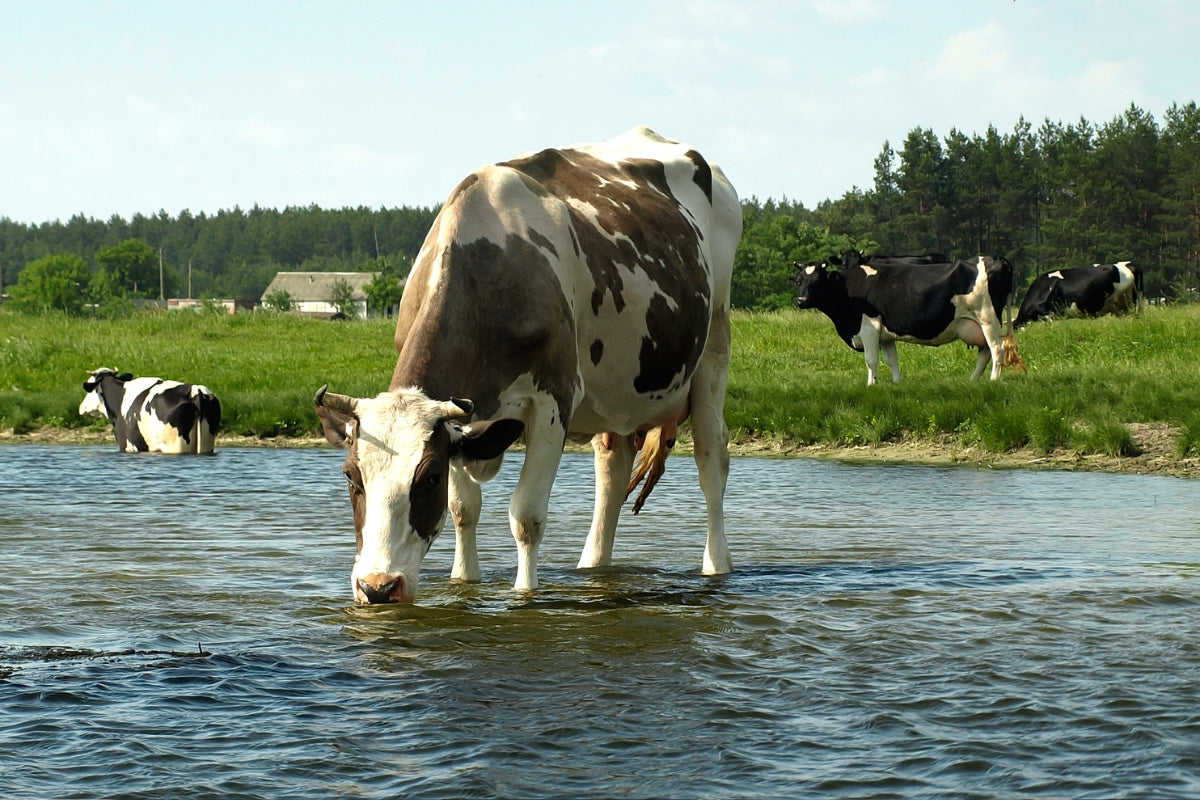 eau potable nature
