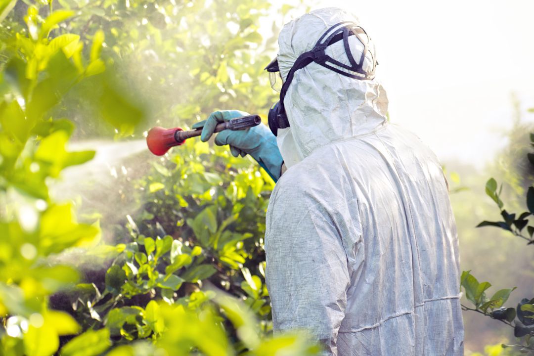 Pesticides dans l’eau: Comment se retrouvent-ils dans l’eau du robinet ?
